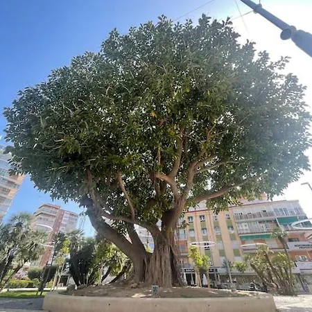 Inmejorable Ubicacion,70m Playa 70m Pueblo Daire Benidorm